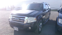 FORD Expedition 2008 TPP491