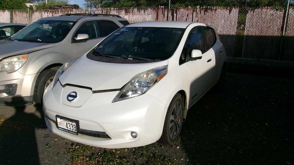 NISS Leaf 2013 EV4333-WW