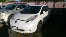 NISS Leaf 2013 EV4333-WW