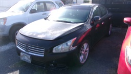 NISS Maxima 2009 RZV771