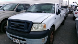 FORD F-150 2006 TFA732-ZZ