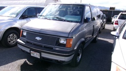 CHEV Astro 1991 FWZ211