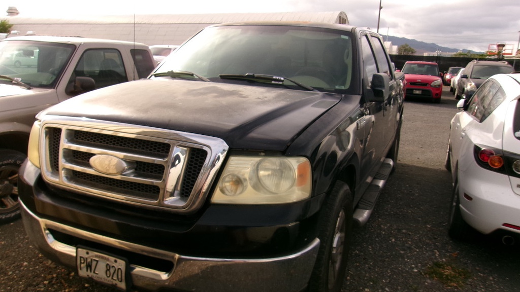 FORD F-150 2008 PWZ820