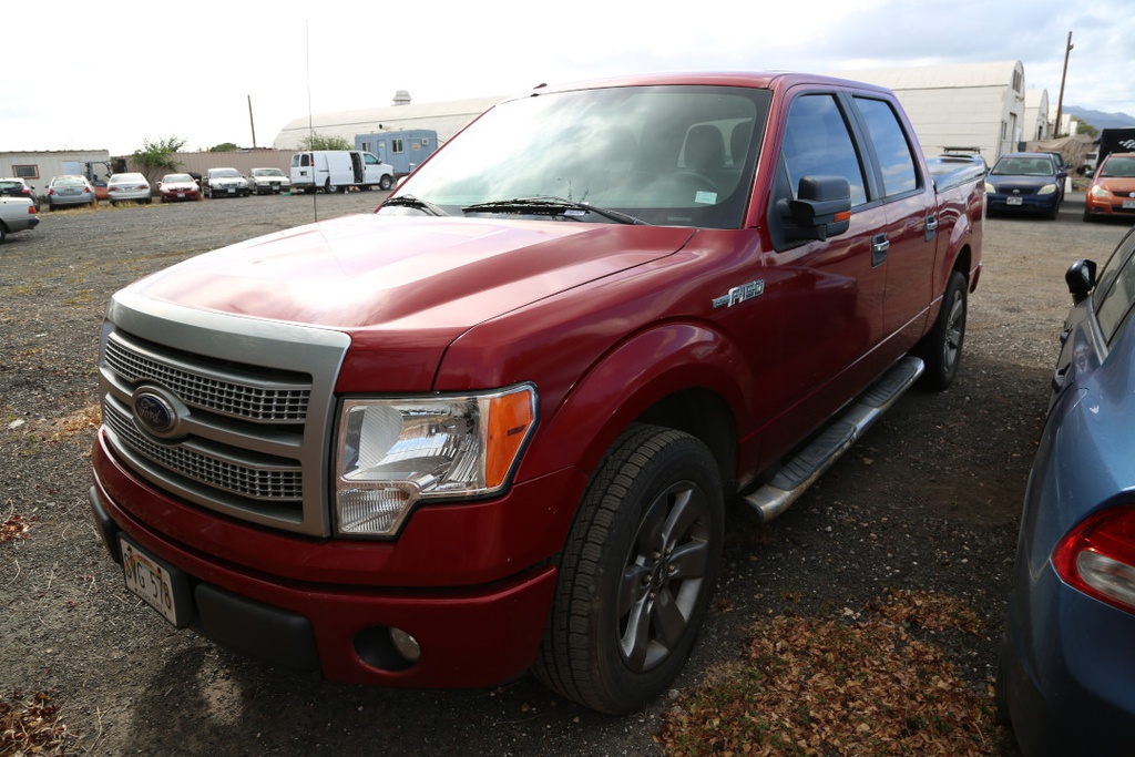 FORD F150 2010 SVG578