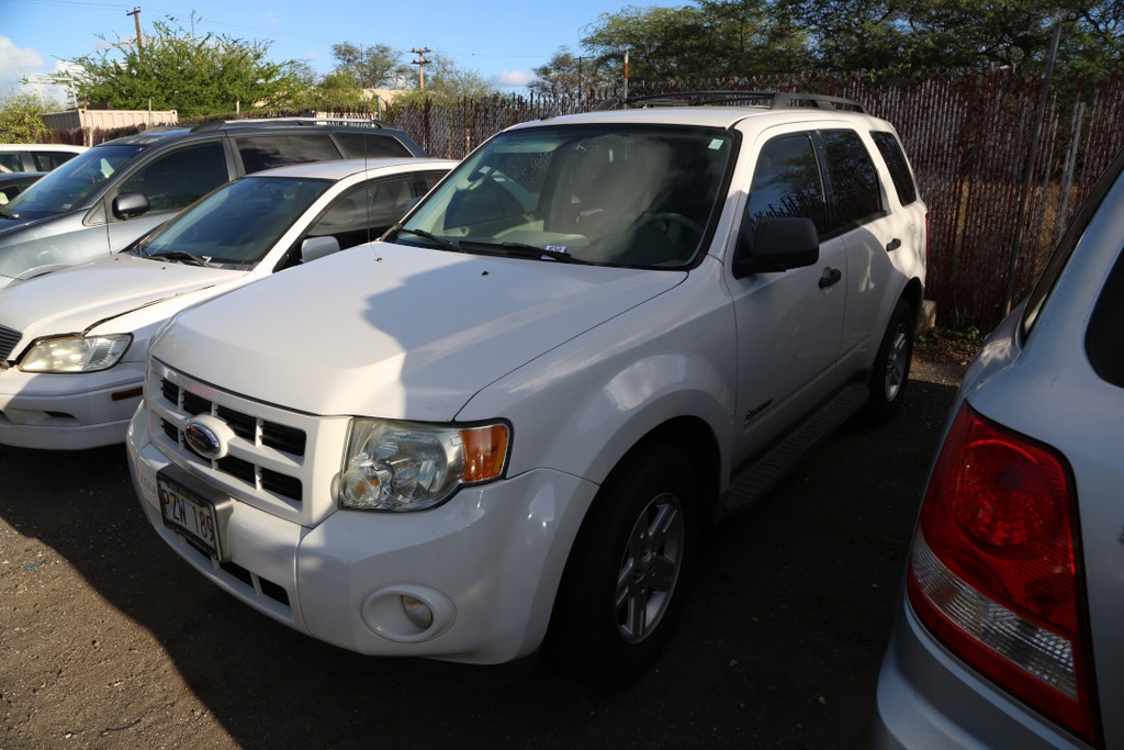 FORD Escape- Hybrid 2009 PZW189