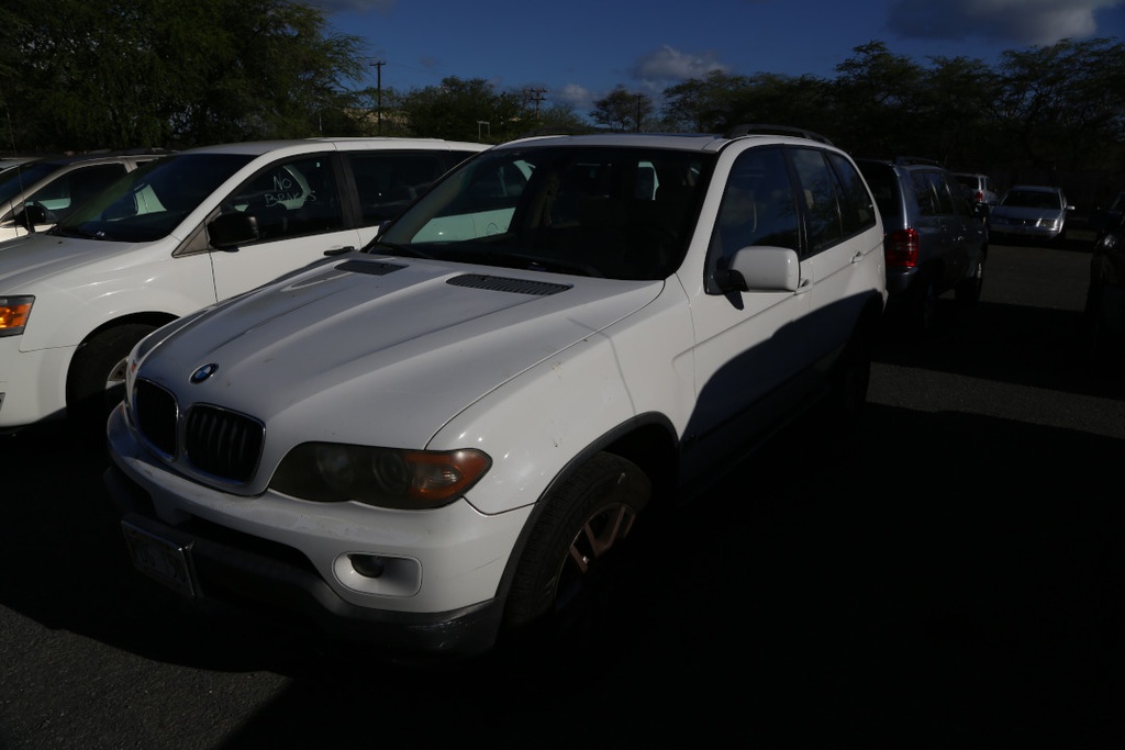 BMW X5 2006 PDG150-99