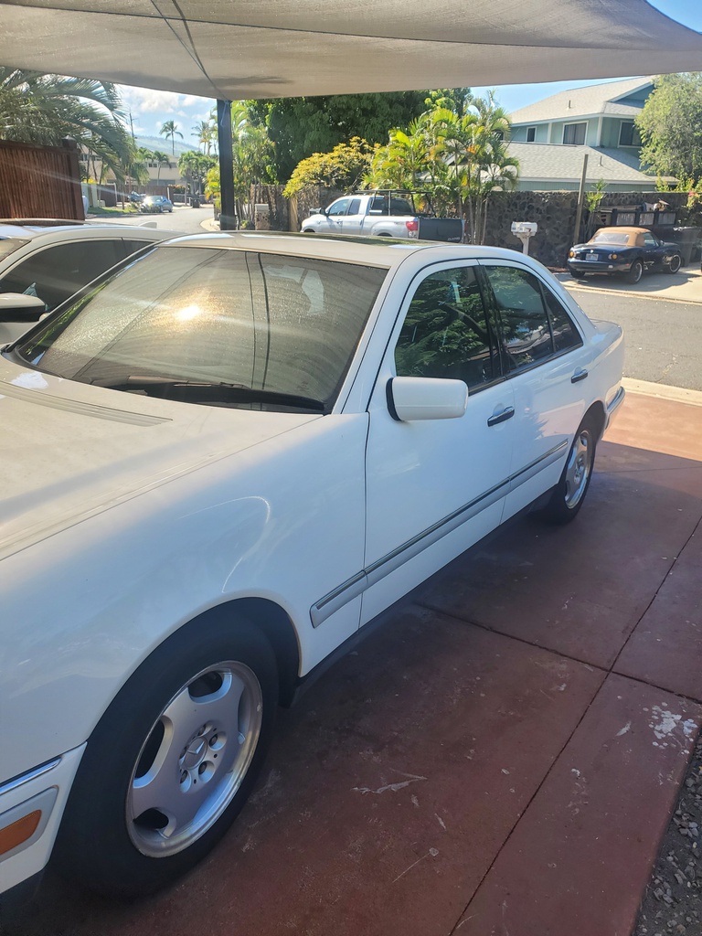 MERZ  1997 MNY061