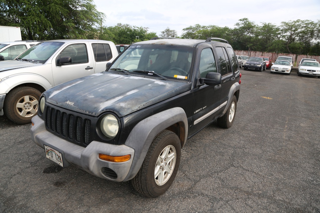 JEEP Liberty 2003 RFU128