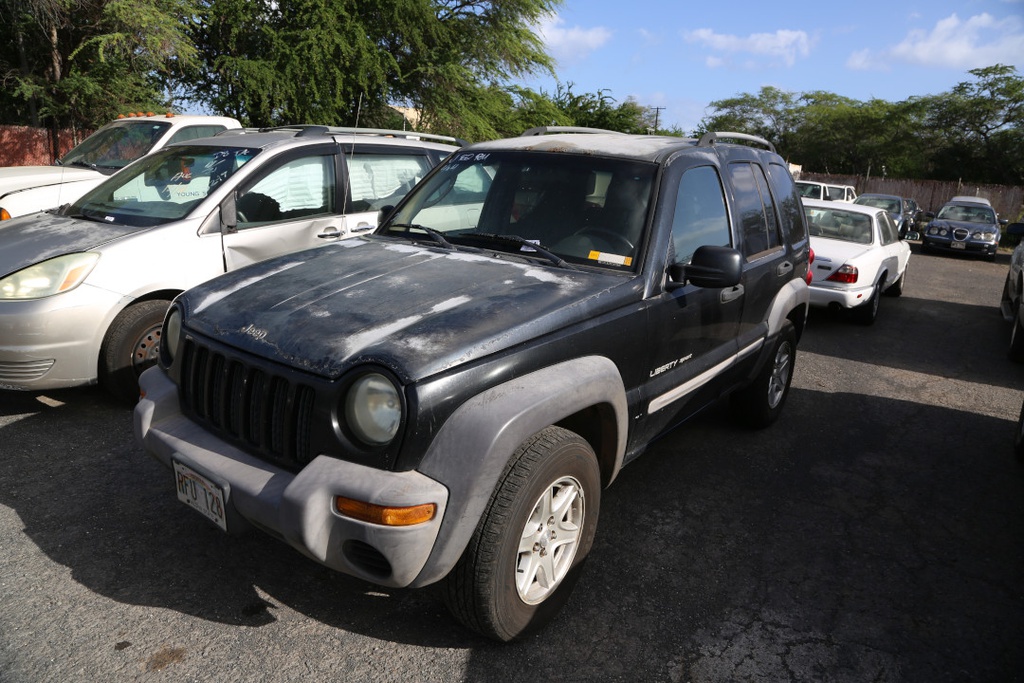 JEEP Liberty 2003 RFU128-55
