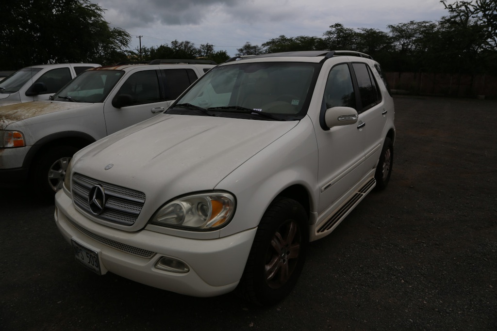 MERZ ML500 2005 NPS503