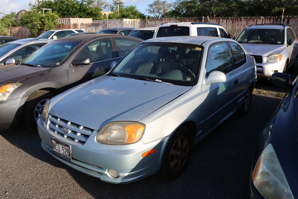 HYUN  2003 NCJ520