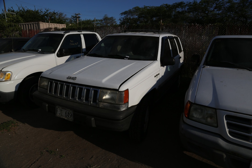 JEEP Grand Cherokee Laredo 1994 FJT649