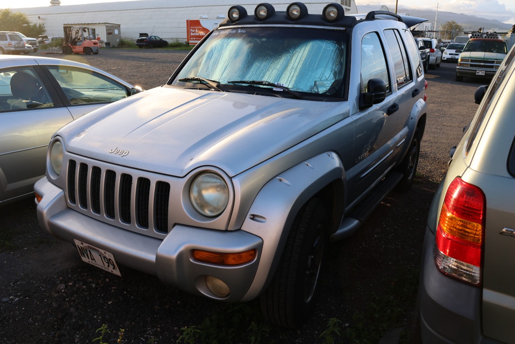 JEEP Renegade 2002 NVA199