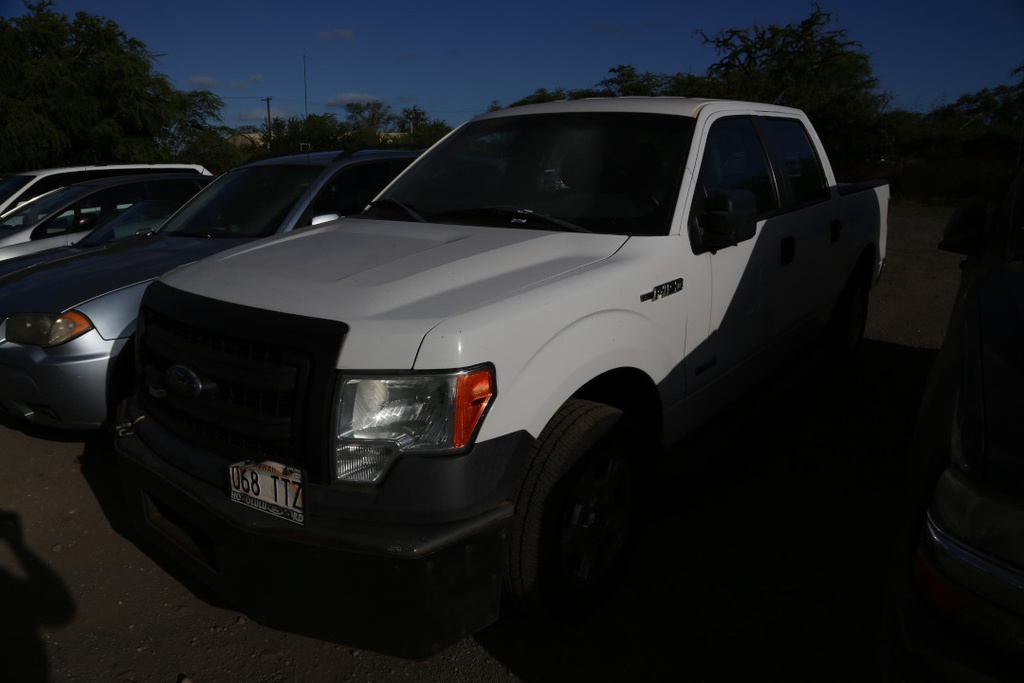 FORD F150 2013 068TTZ