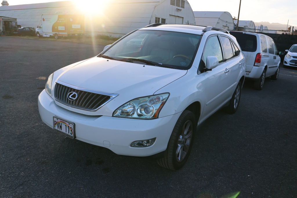 LEXS RX350 2009 PVW113