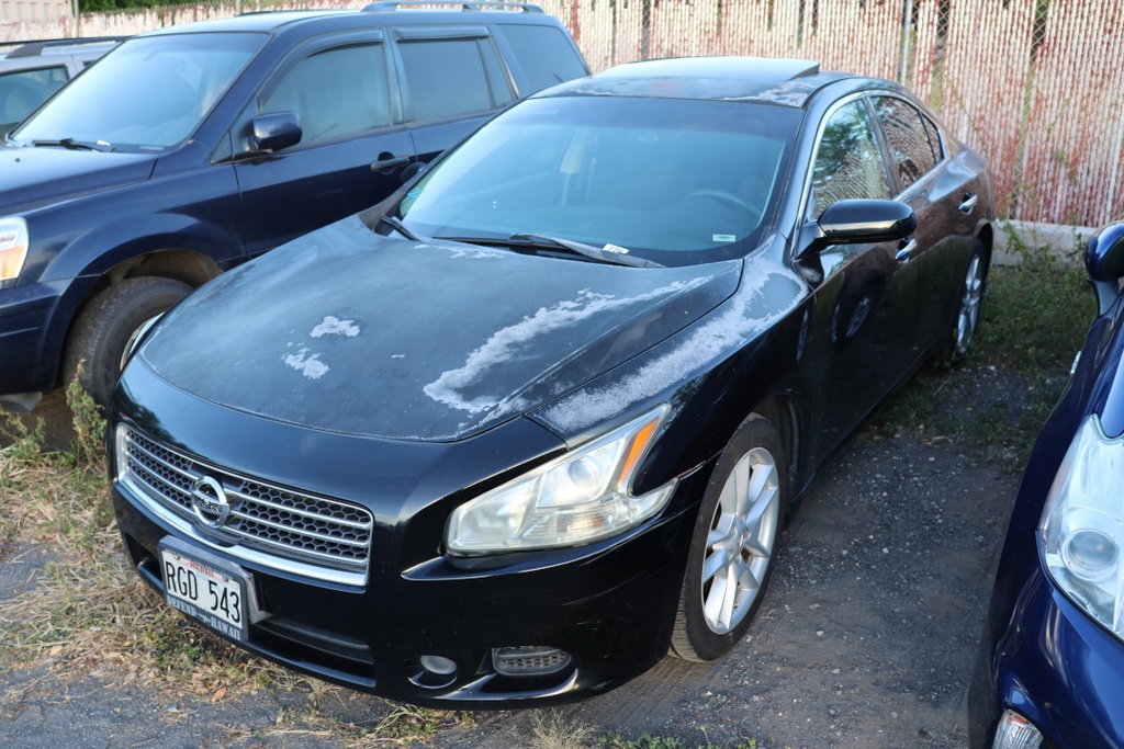 NISS Maxima 2010 RGD543